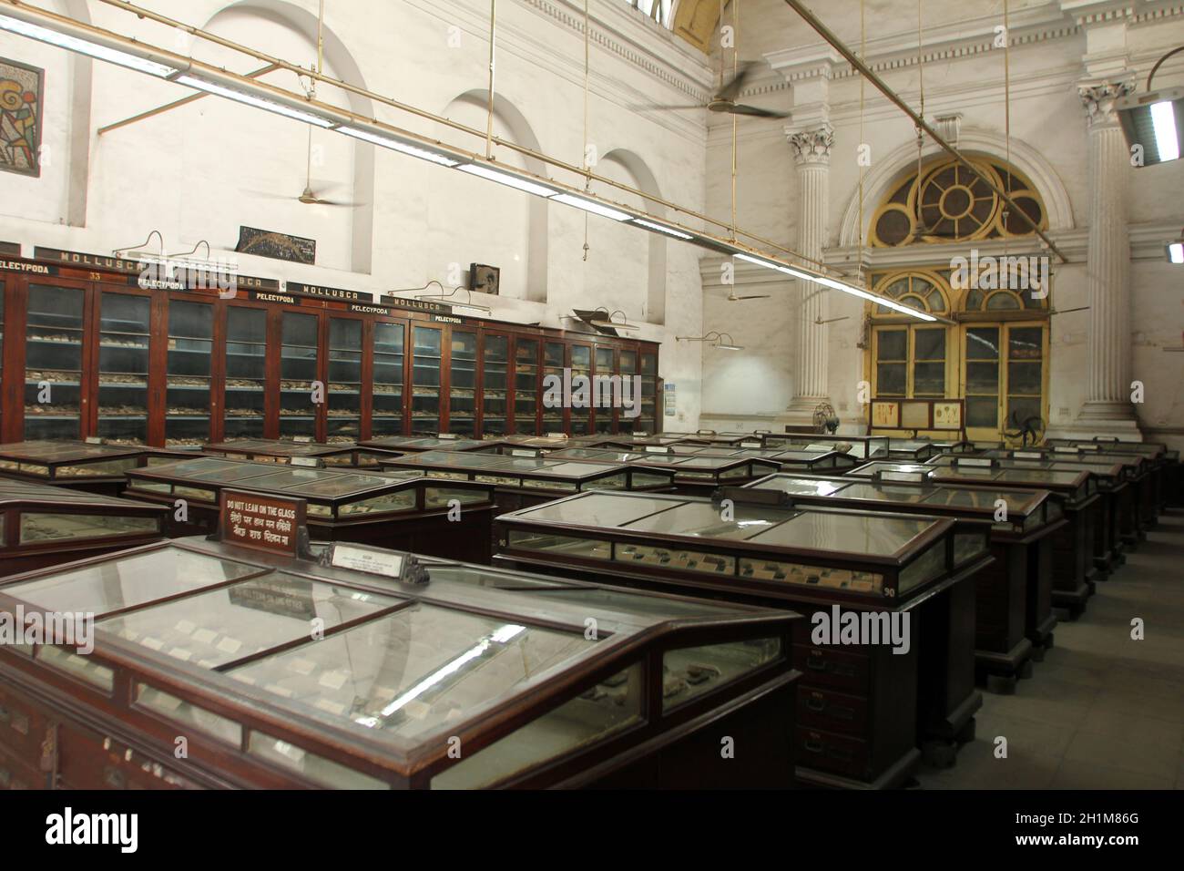 Museo Indio de Kolkata, India Foto de stock