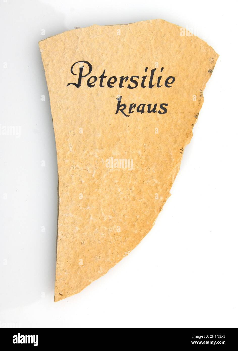 Kraeuterstecker; Petersilie; Petersilienschild; Petroselinum Foto de stock