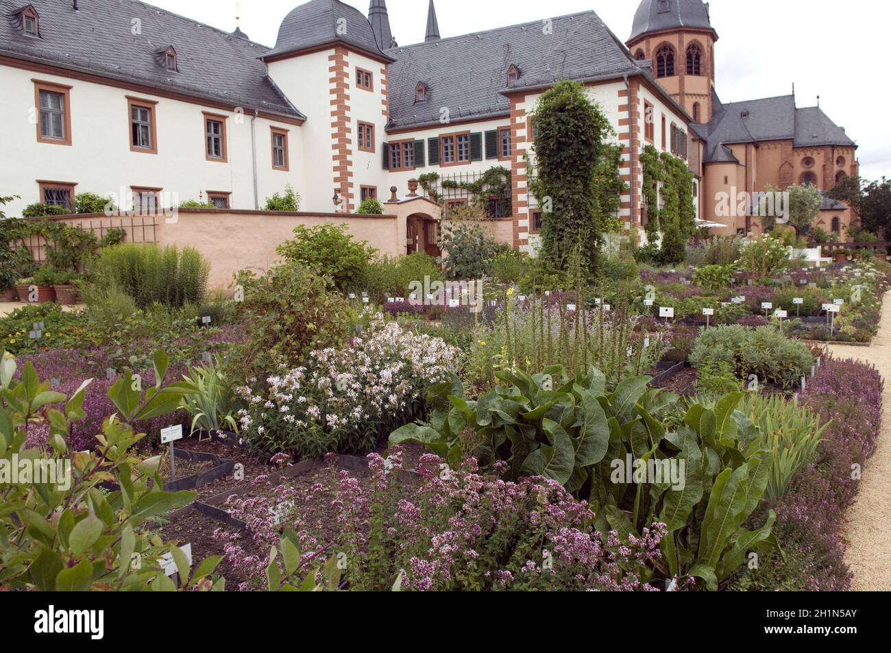 Seligenstadt, Heilpflanzen Kraeutergarten; Foto de stock