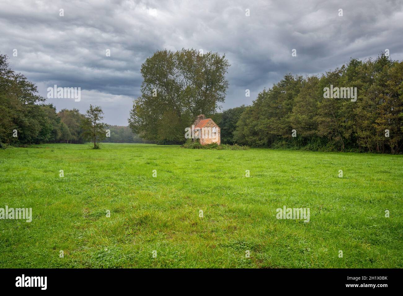 antigua granja abandonada abandonada granja granero cabaña aislada en un campo rodeado de bosques en un avión de inundación Foto de stock