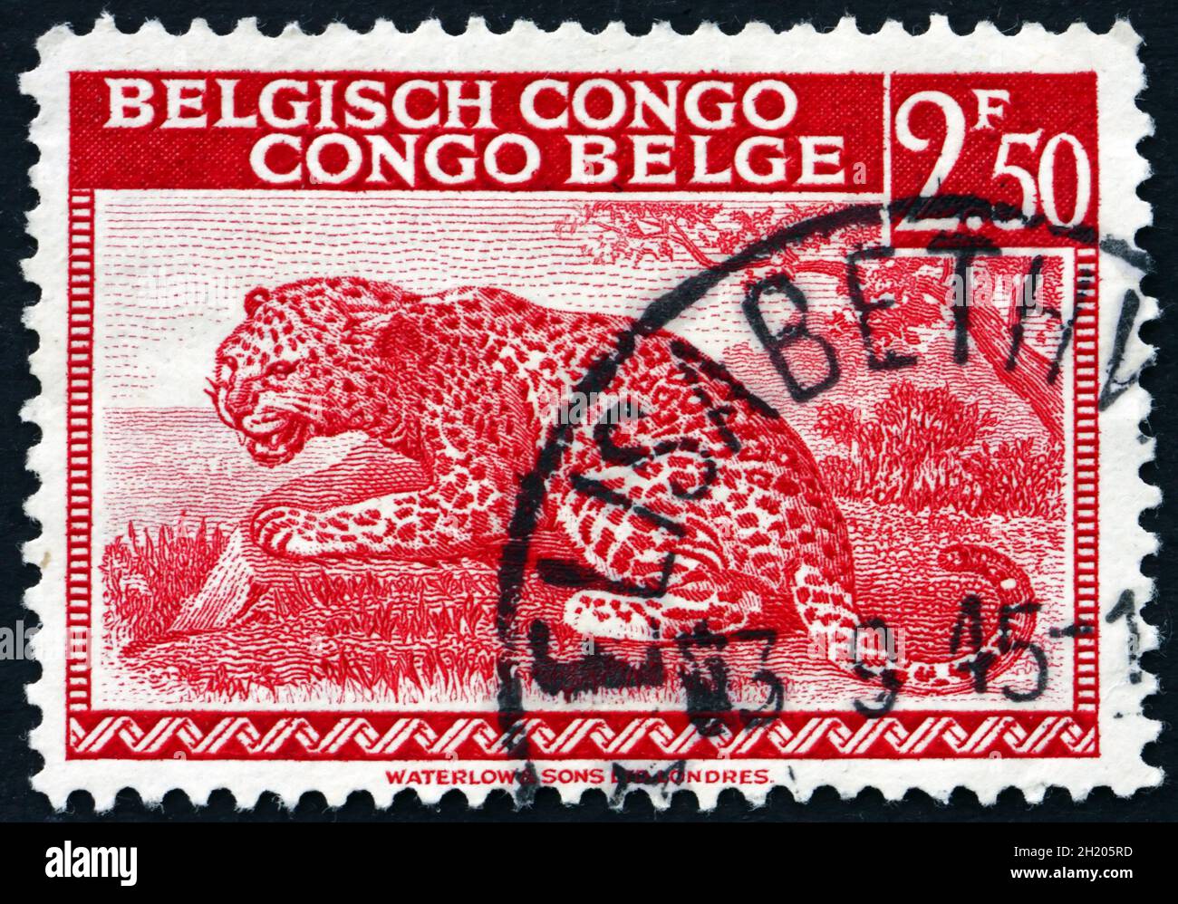CONGO BELGA - CIRCA 1942: Un sello impreso en el Congo Belga muestra Leopard, Panthera Pardus, Big Cat, circa 1942 Foto de stock