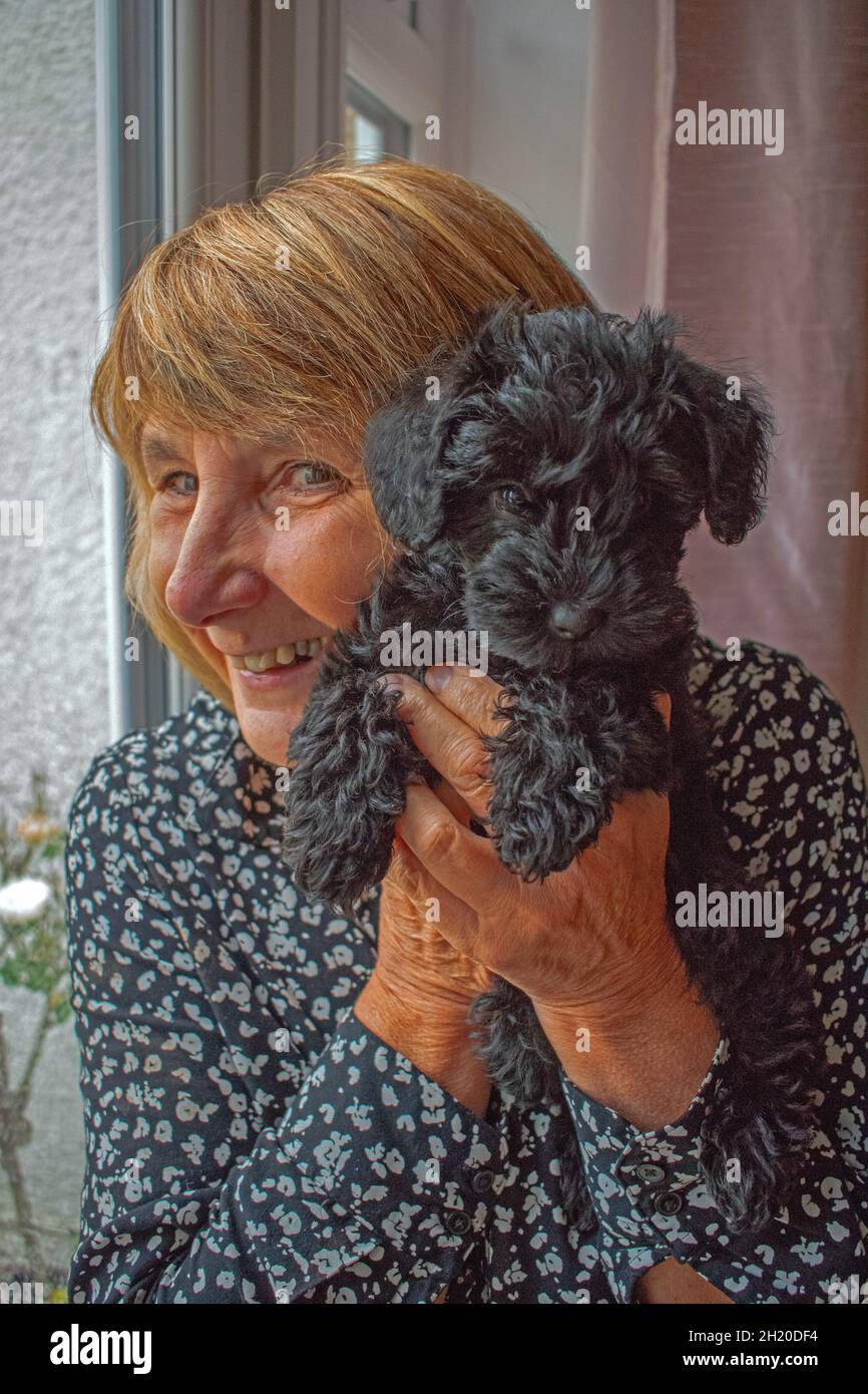 Dama con cachorro de Schnoodle Fotografía de stock - Alamy