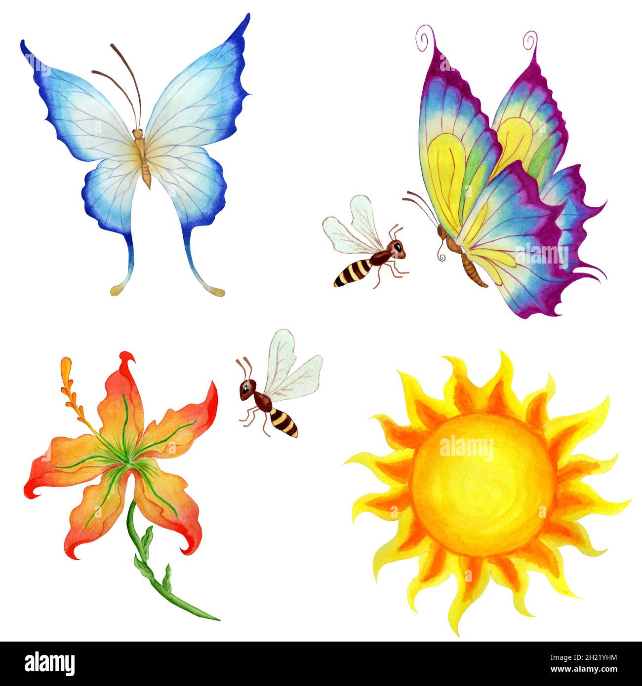 Conjunto de hermosas mariposas voladoras aisladas sobre un fondo blanco.  Foto de alta calidad Fotografía de stock - Alamy