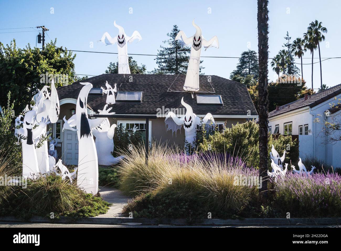 Pequeña casa encantada en California con más de una docena de fantasmas inflables; en el techo y en el jardín entre las plantas - un halloween espeluznante Foto de stock