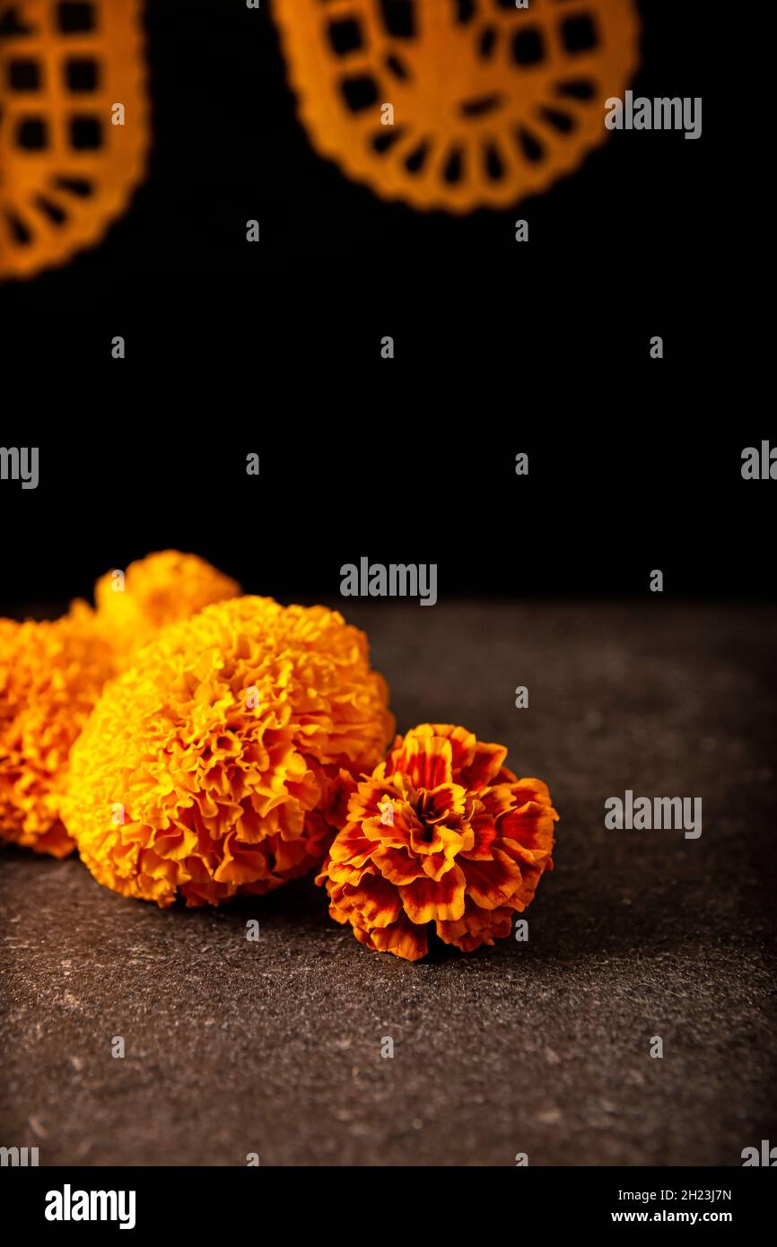 Flores de naranja Cempasuchil o Marigold. (Tagetes erecta) y Papel Picado.  Tradicionalmente utilizado en altares para la celebración del día de los  muertos en Fotografía de stock - Alamy