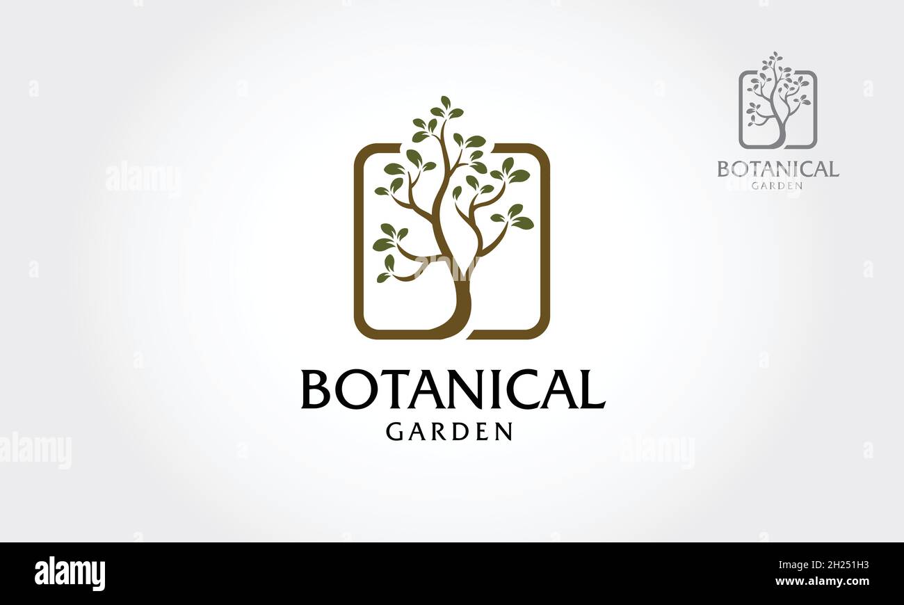Ilustración del logotipo del Jardín Botánico. Logotipo que ilustra las raíces de un árbol están conectadas en un diseño cuadrado. Esta ilustración muestra el símbolo de la fuerza, etc. Ilustración del Vector