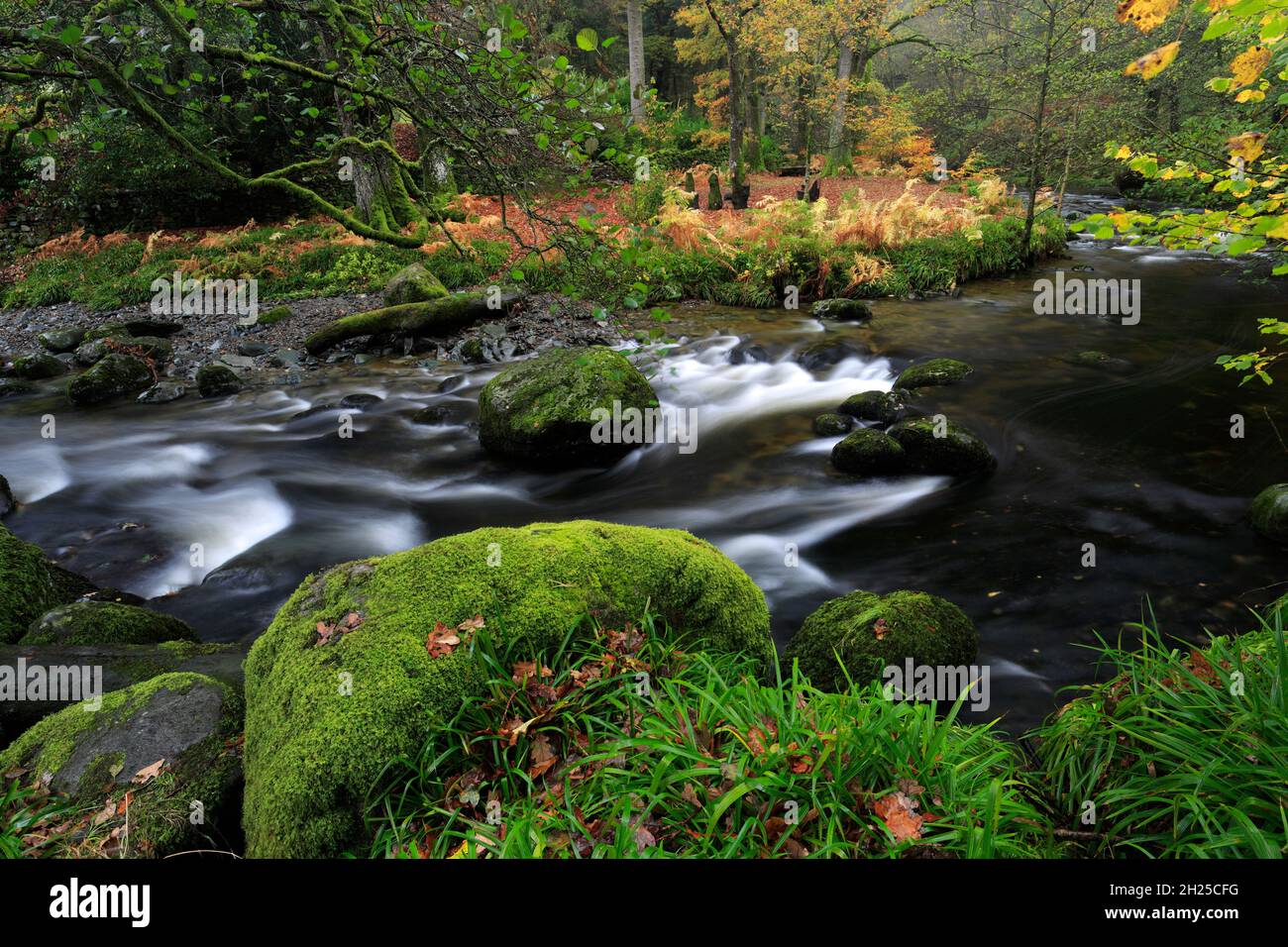 Otoño, Aira Beck cerca de Ullswater, Lake District National Park, Cumbria, Inglaterra Foto de stock