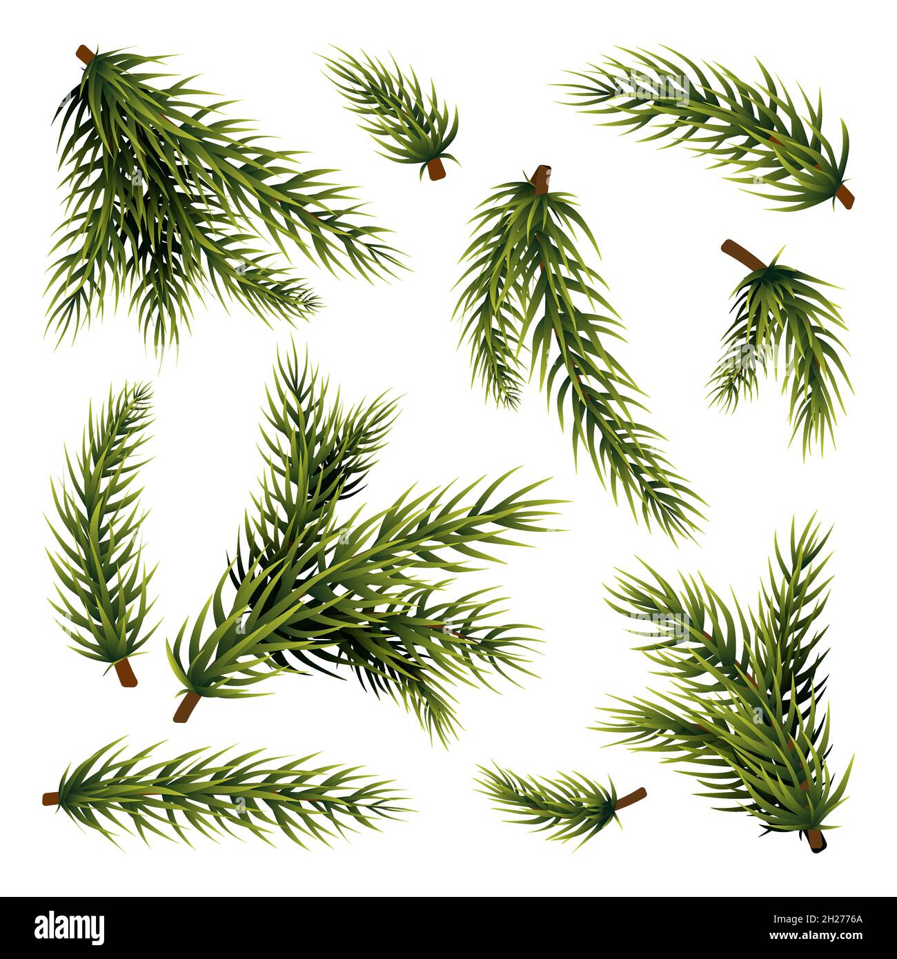 Ramas del árbol de Navidad. Rama de planta verde, aislada sobre abeto o  pino de fondo blanco. Ramas de Navidad de Año Nuevo, objetos de vector  perenne y pantanoso Imagen Vector de