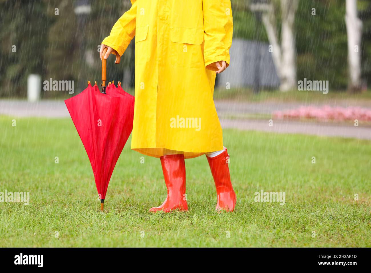 Mujer con botas de goma con abrigo amarillo con sombrilla cerrada en el  parque el día de lluvia Fotografía de stock - Alamy