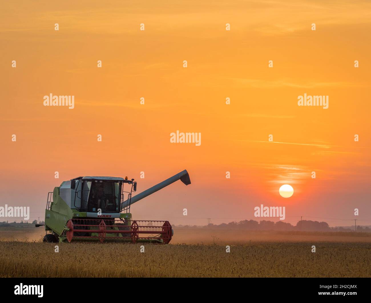 Cosechadora en campo de trigo al atardecer, Cambridgeshire, Inglaterra Foto de stock