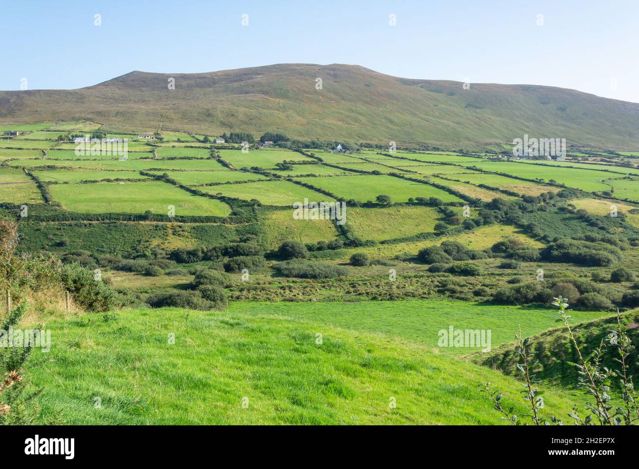 Vista panorámica del campo, Península de Dingle (Corca Dhuibhne), Condado de Kerry, República de Irlanda Foto de stock