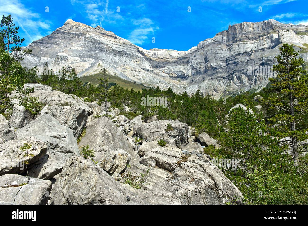 Zona de la caída de rocas de Derborence, Conthan, Valais, Suiza Foto de stock