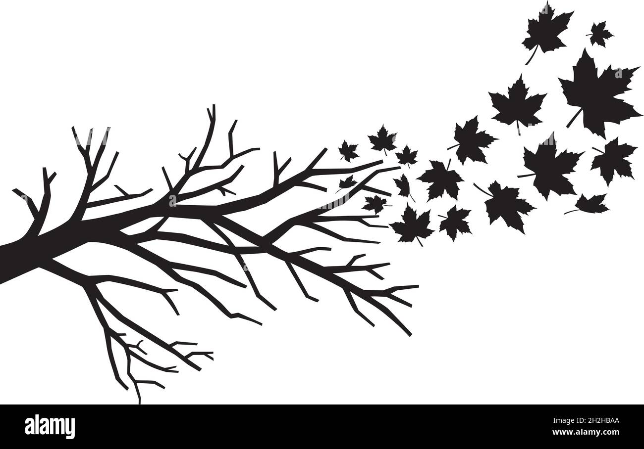 Ilustración de rama con vector de hojas caídas Imagen Vector de stock