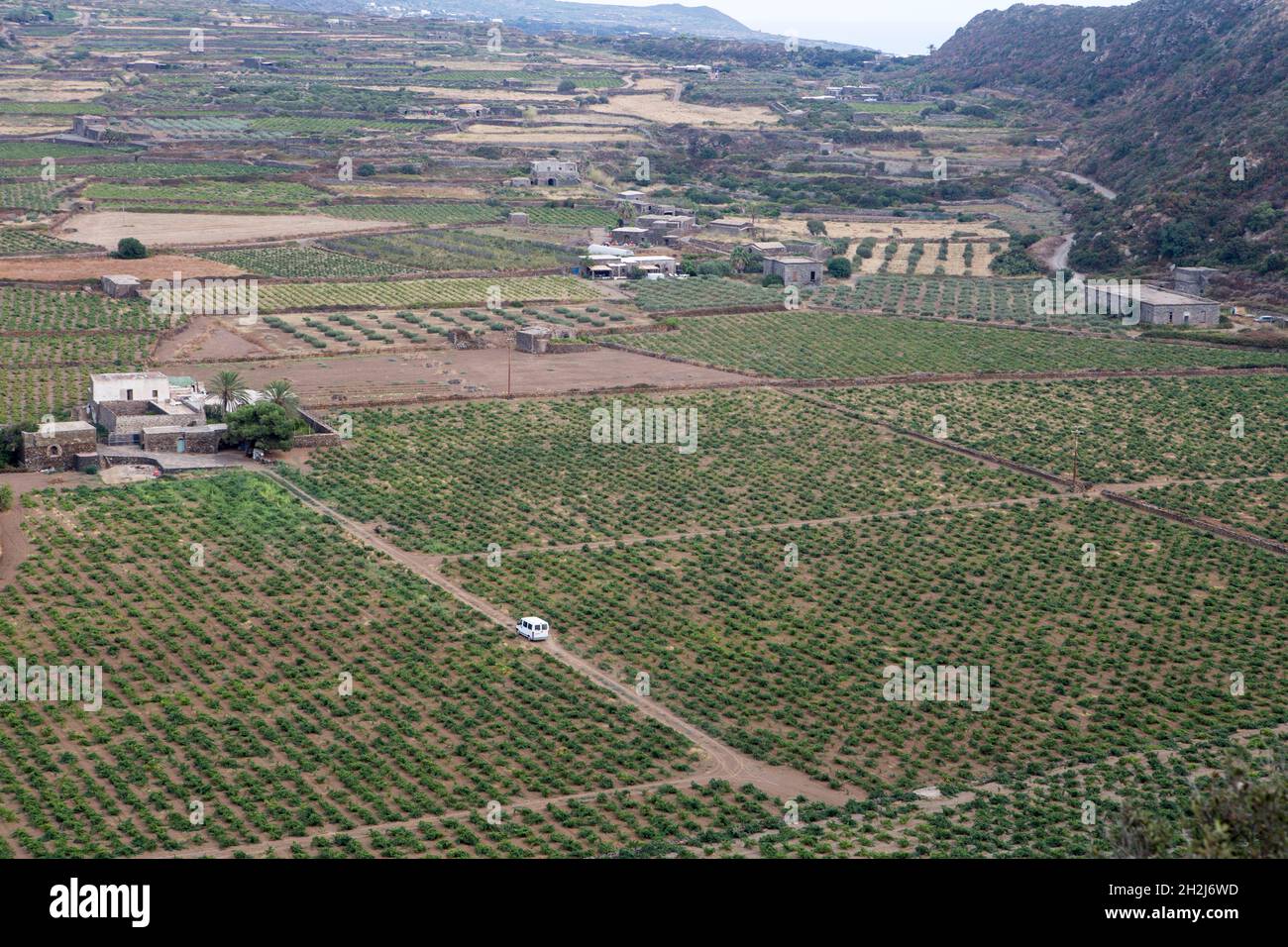El valle de Monastero se encuentra entre las zonas más fértiles de la isla, casi totalmente cubiertas de viñedos de las conocidas uvas Zibibbo Foto de stock