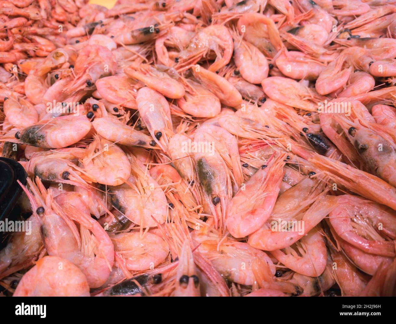 En el mostrador de un supermercado de mariscos se encuentran deliciosos  camarones rosados fríos y hervidos. Primer plano de camarones descongelados  de color rosa marino Fotografía de stock - Alamy