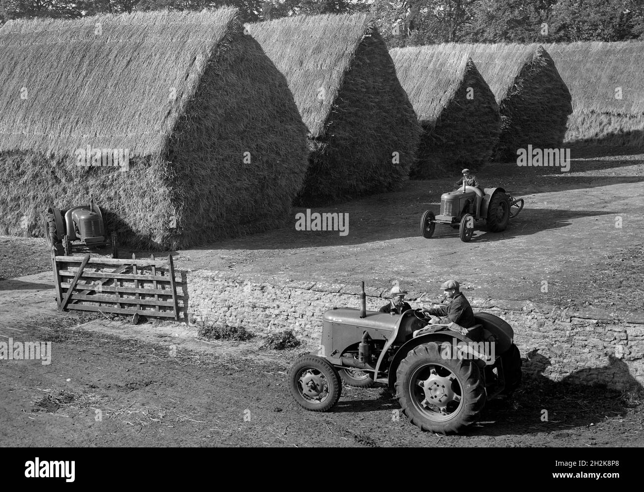 Trabajadores agrícolas con tractores y pajar Gran Bretaña 1950s Foto de stock