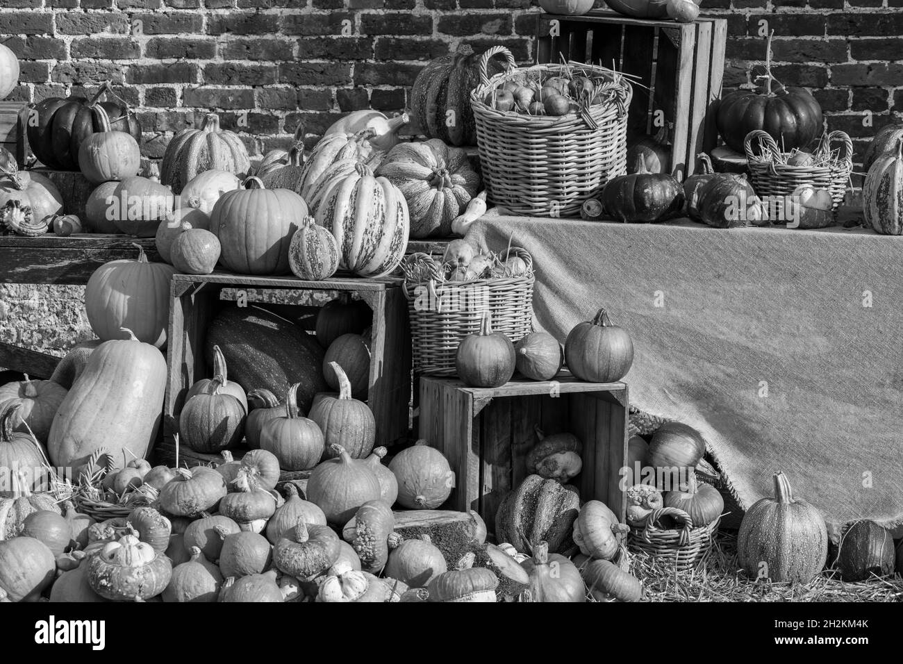 Una selección de calabazas sobre una mesa de madera Foto de stock