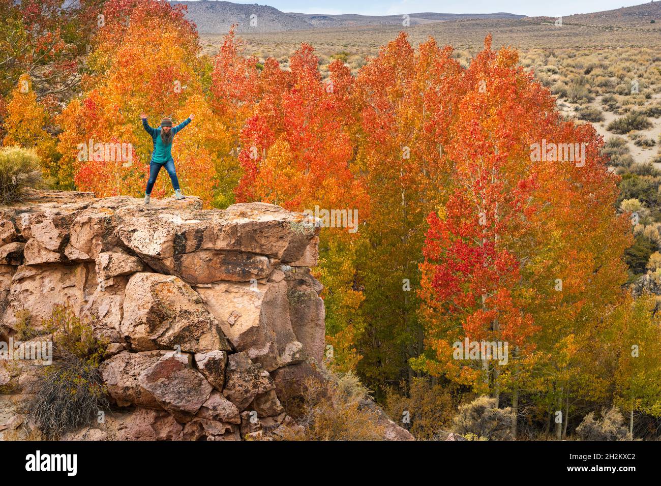 Colores de otoño protegidos en barrancos del desierto cerca del lago Mono al amanecer con caminadora femenina. Foto de stock