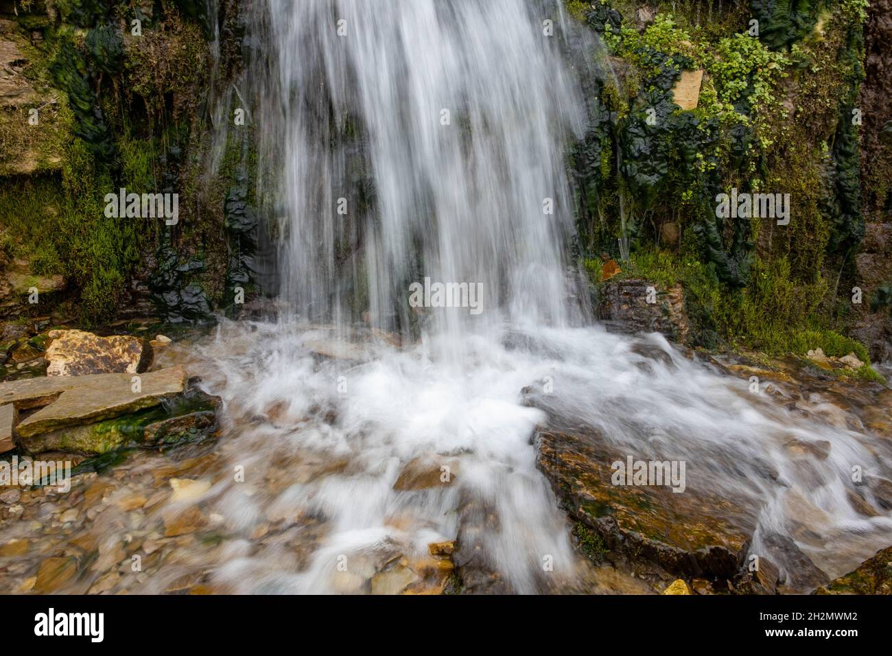 arroyo milenario del bosque frío, pequeñas cascadas sobre las rocas con musgo resbaladizo Foto de stock