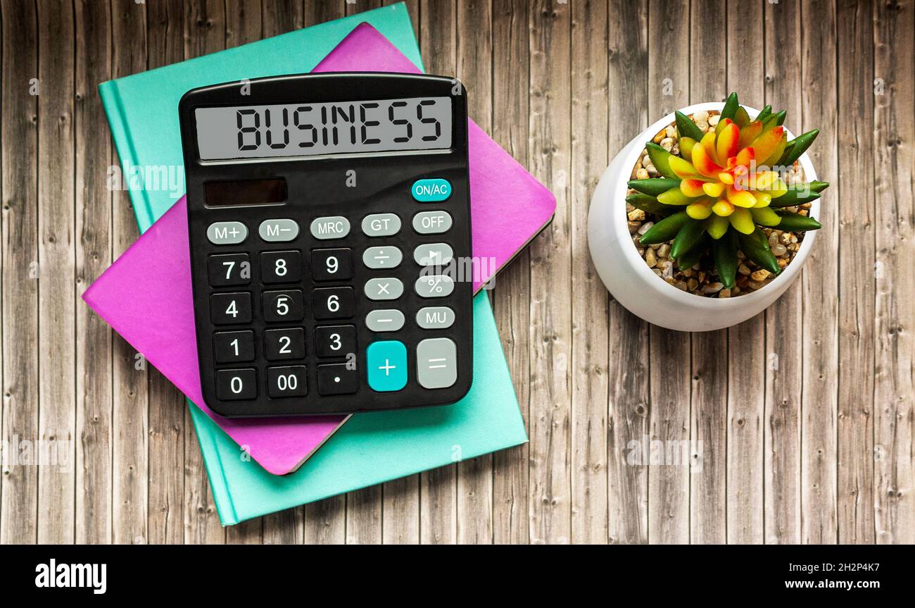 Concepto de negocios y finanzas. Sobre una mesa de madera notepads, cactus, calculadora con el texto Negocios Foto de stock