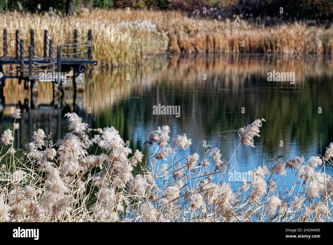 se acerca el otoño, vista al lago y reflexiones Foto de stock