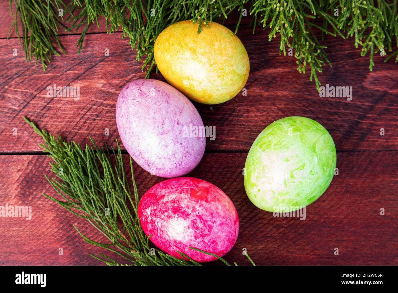 Cuatro huevos de pascua brillantes multicolor y rama de thuja tumbada en una terraza de madera roja Foto de stock