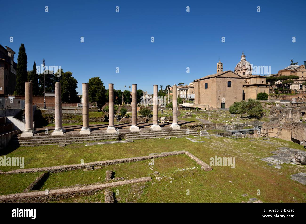 Italia, Roma, el foro romano, foro della pace (Foro de la paz), las columnas del templo de la paz Foto de stock