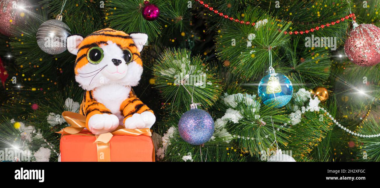 Navidad 2022 Tigre de Año Nuevo con un regalo cerca del árbol en la nieve. Hermoso lugar de cartas para el texto. Foto de stock