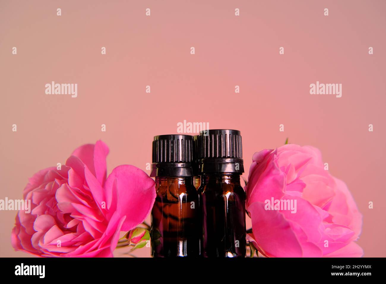 Rosa esencial oil.Aromatherapy y cosméticos . Conjunto de botellas de vidrio y flores rosadas sobre rosa background.Organic rosa natural oil.Organic bio Foto de stock
