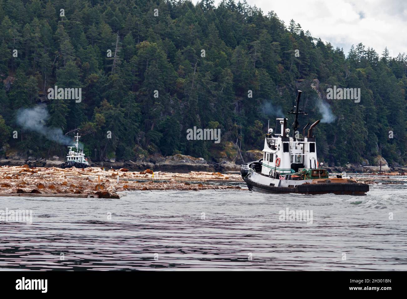 Dos remolcadores, CT Titan y Hustler II, trabajan juntos, empujando un auge de troncos para moverlo a lo largo de la orilla de la arbolada Isla Valdes, Columbia Británica. Foto de stock