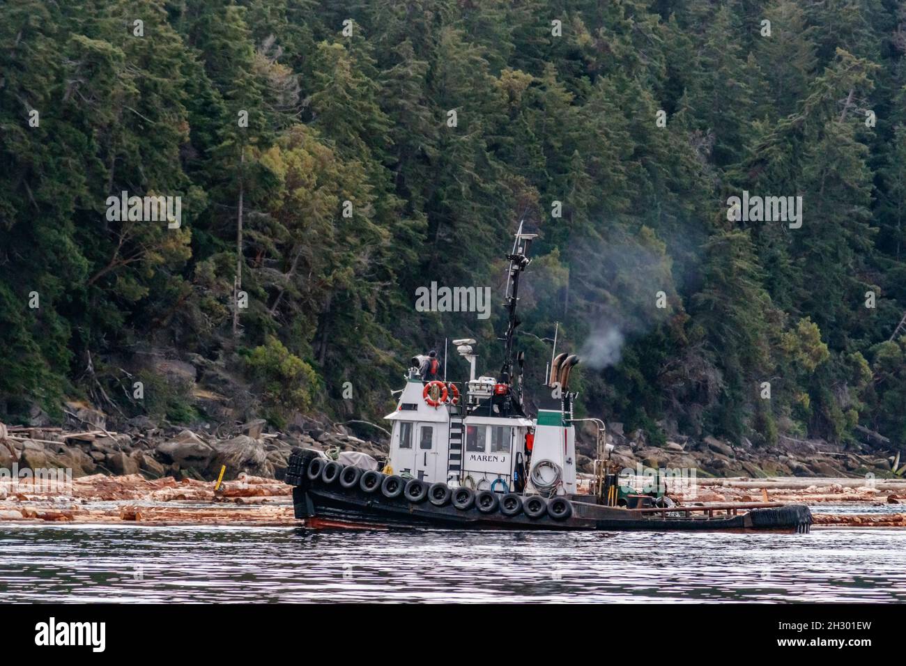 Un hombre se encuentra al timón del remolcador canadiense Maren J, trabajando para maniobrar un auge de troncos frente a la orilla de la isla Valdes (Columbia Británica). Foto de stock