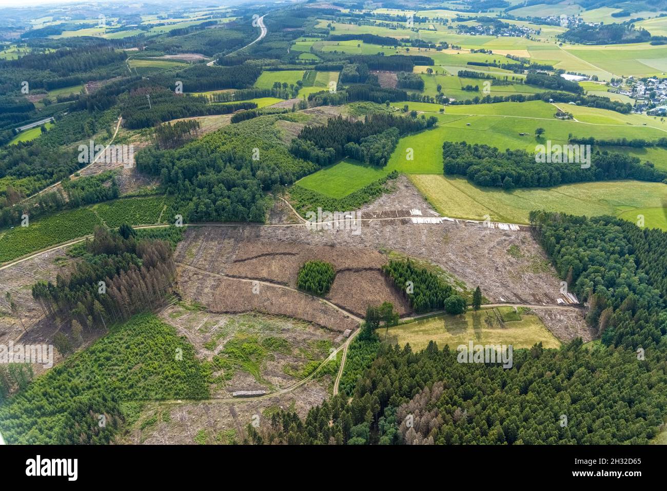 Fotografía aérea, área forestal con daños forestales cerca de Iseringhausen y Brachtpe, Drolshagen, Sauerland, Renania del Norte-Westfalia, Alemania, la muerte del árbol, Foto de stock