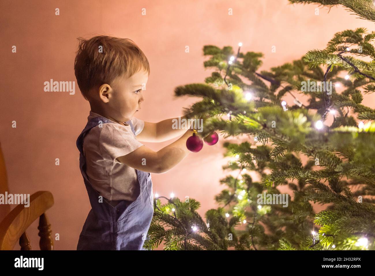 concentrado niño poniendo decoraciones en el árbol del christmass Foto de stock