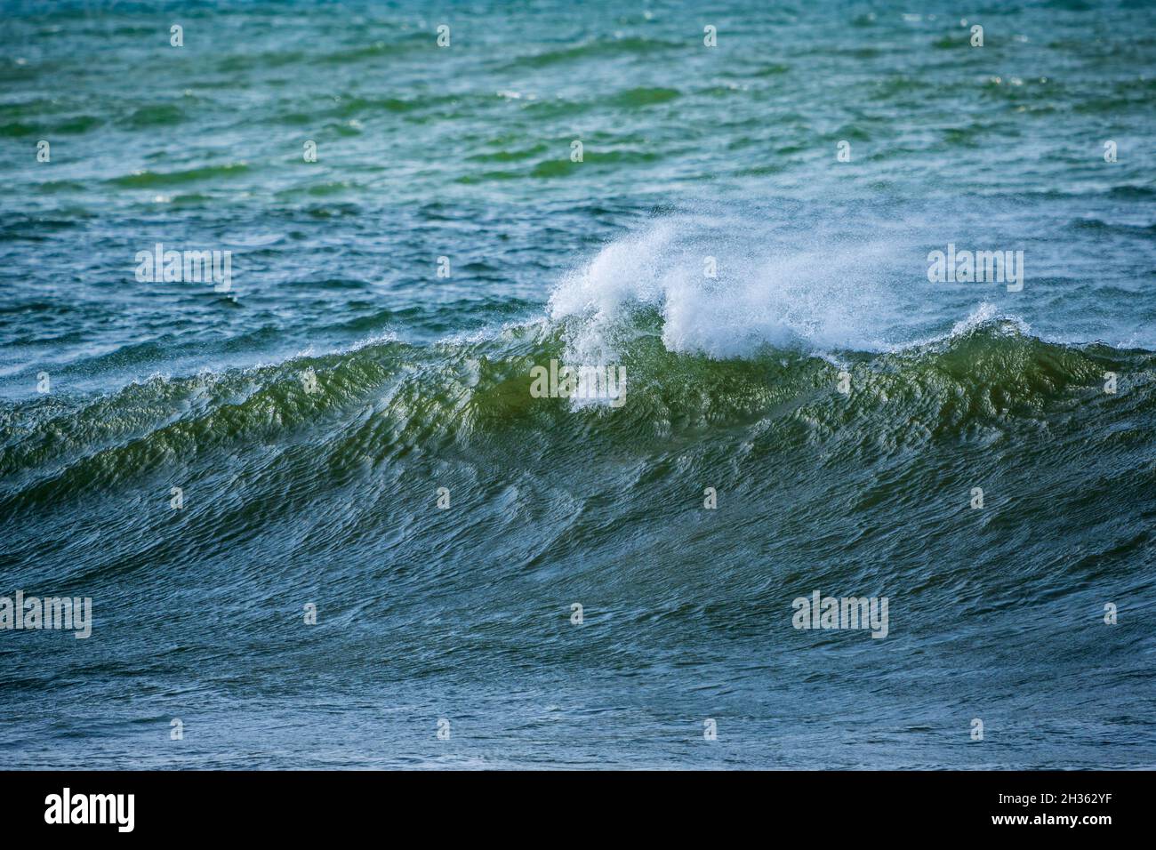 Hermosas olas del océano temprano por la mañana con spray fue bown por fuertes vientos. Hermanus. Costa de las Ballenas. Overberg. Cabo Occidental. Sudáfrica Foto de stock