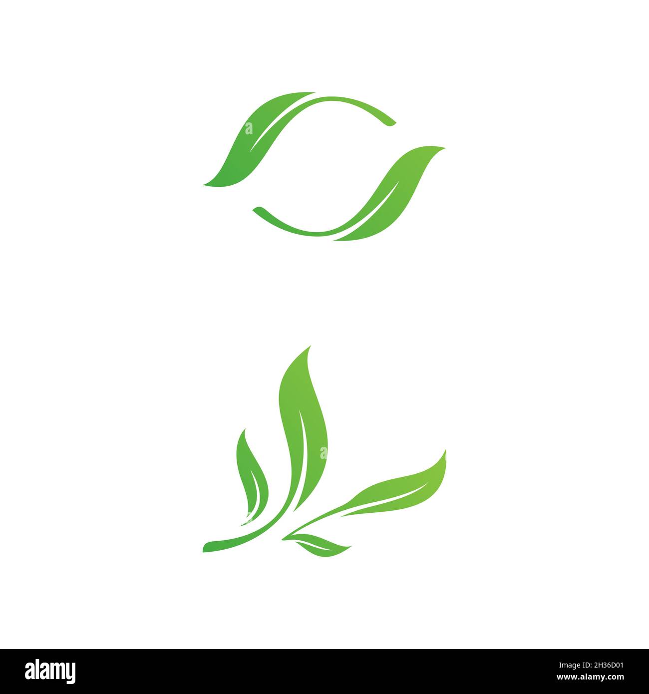 Plantilla de diseño de ilustración de vector de hoja de olivo