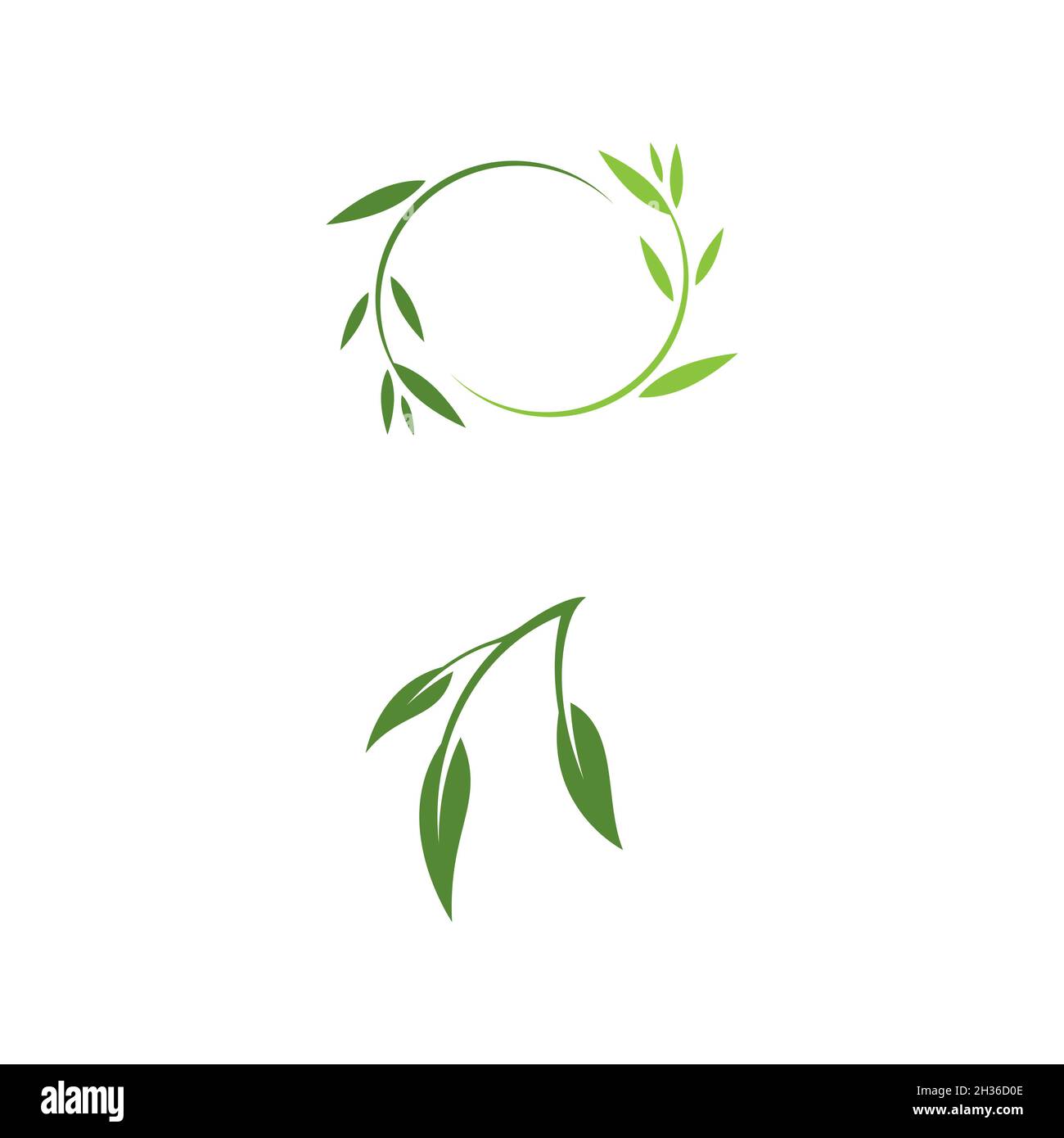 Plantilla de diseño de ilustración de vector de hoja de olivo