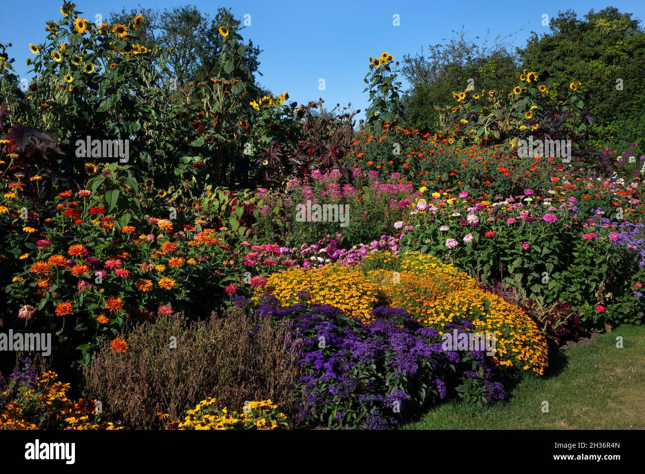 Colorido jardín de finales de verano Boarder, Oxfordshire, Inglaterra Foto de stock