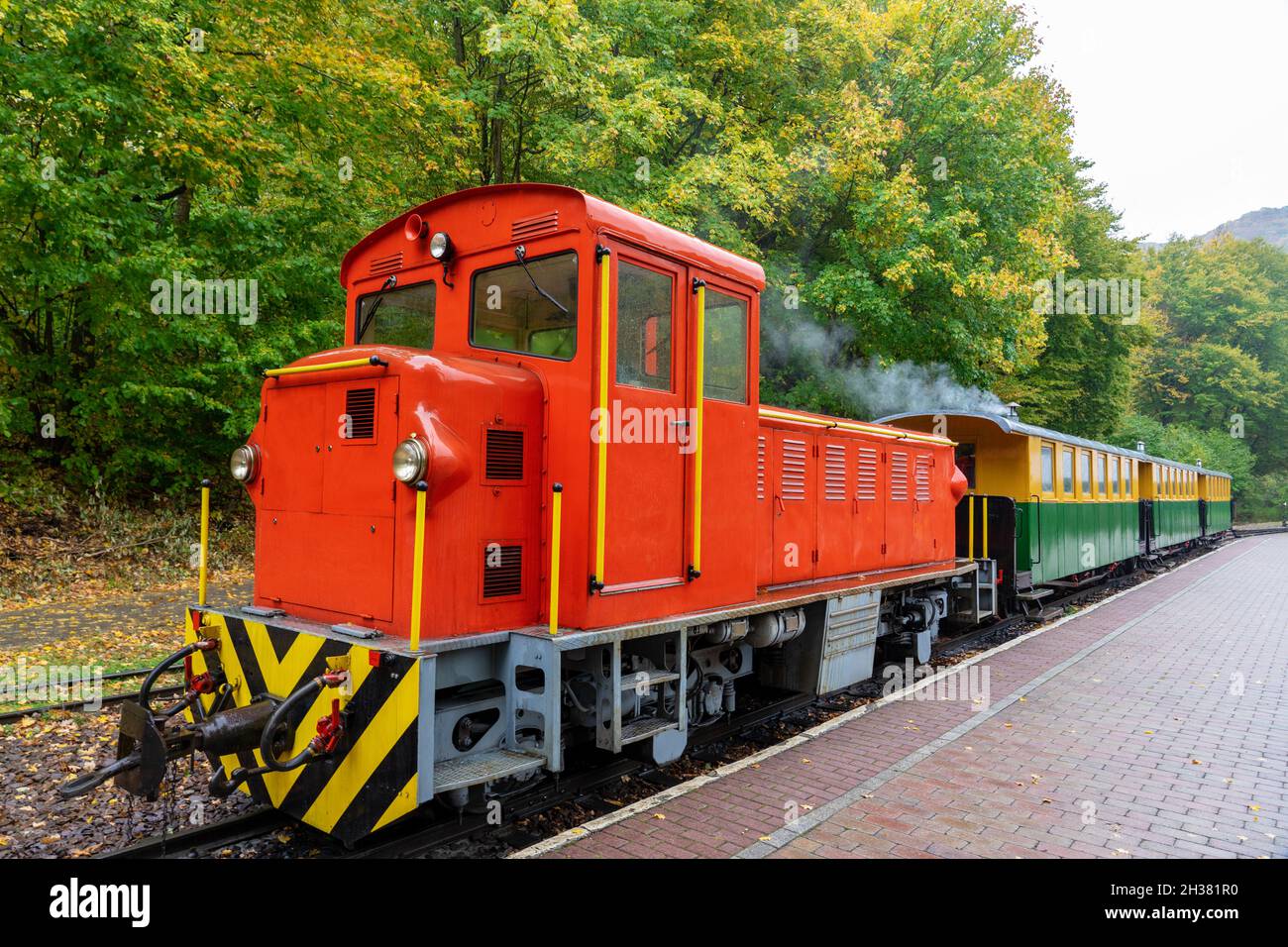 Pequeño tren de vía estrecha en el valle de Szalajka szilvasvarad Hungría Foto de stock