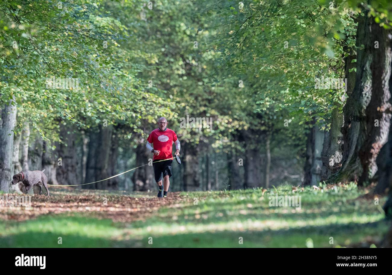 Hombre corriendo con su perro mascota a lo largo de la avenida Lime Tree, Clumber Park, Nottinghamshire, Inglaterra, Reino Unido Foto de stock