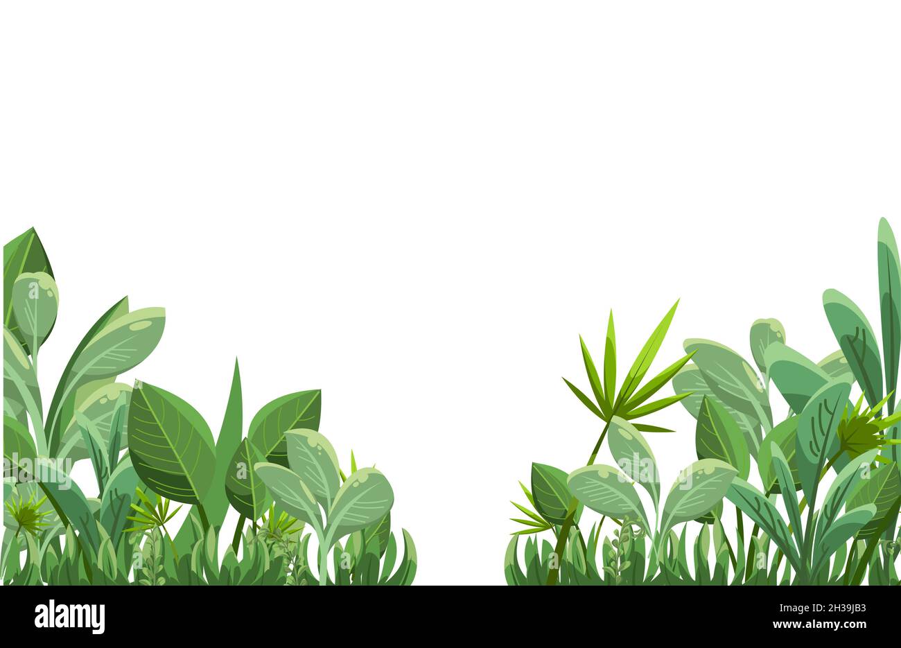 Plantas dibujo animado fotografías e imágenes de alta resolución - Alamy