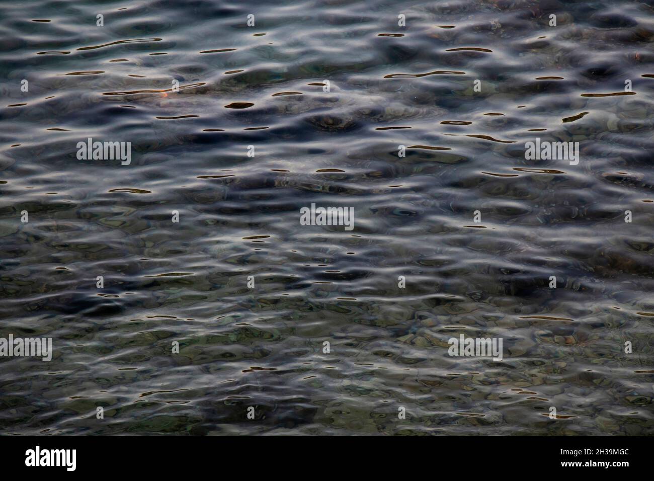 Aguas marinas oscuras y poco profundas con piedras y rocas y algas en su fondo, detalle Foto de stock