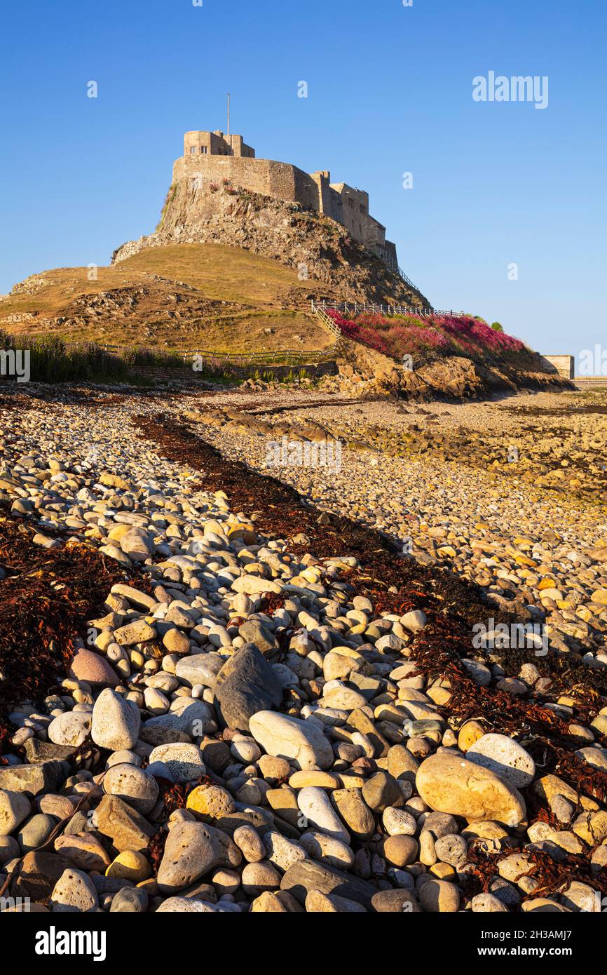 Castillo de Lindisfarne de la playa de la isla santa Isla de Lindisfarne Isla santa Lindisfarne Northumberland Inglaterra Reino Unido GB Europa Foto de stock