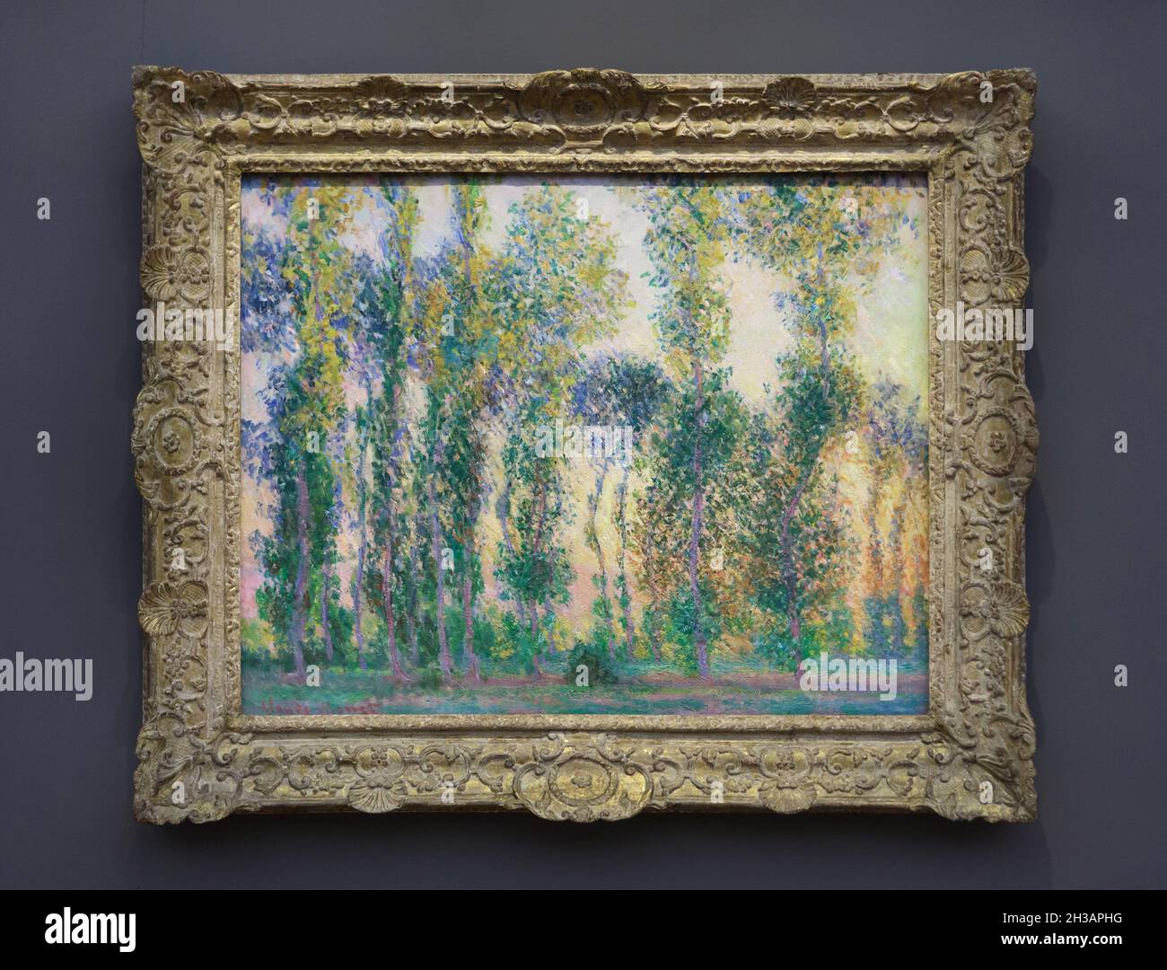 Pintura 'Poplars at Giverny' del pintor impresionista francés Claude Monet (1887) en exposición en el Museo Barberini de Potsdam, Alemania. Foto de stock