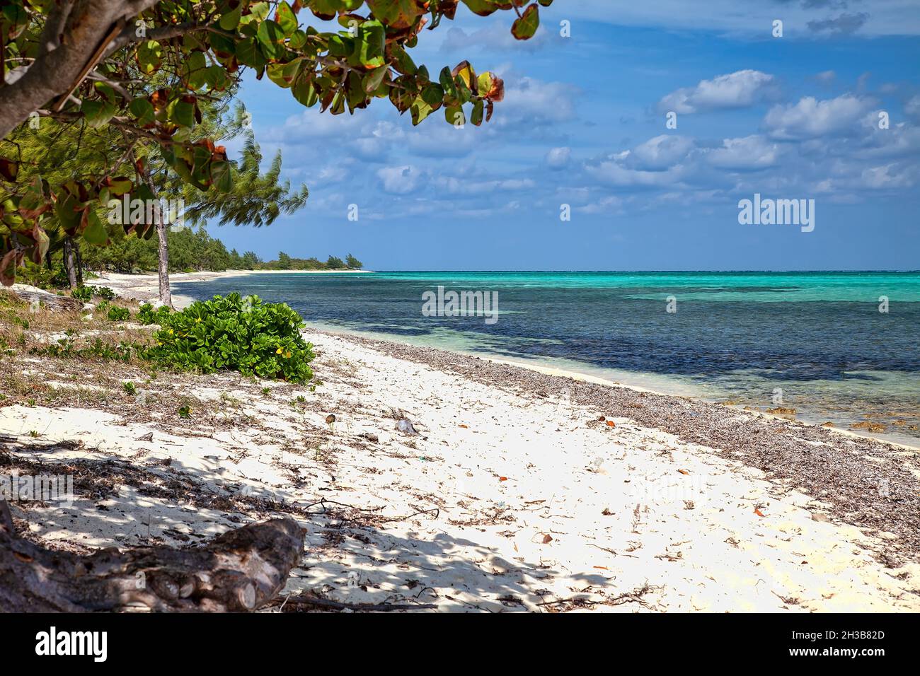 Mar Caribe y las playas de arena blanca en Gran Caimán, Islas Caimán. Foto de stock