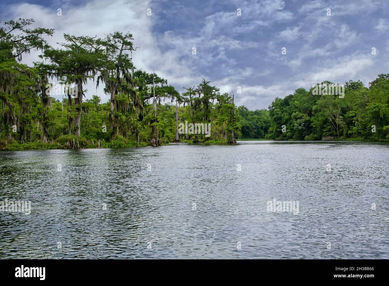 Paisaje escénico del Parque Estatal Wakulla Springs en Tallahassee, Florida Foto de stock