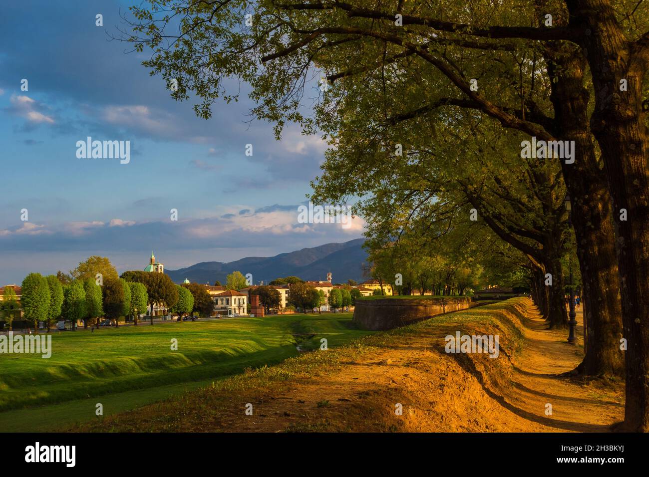 Viajar en Toscana. Las murallas del parque público de Lucca con el distrito oriental de Arancio Foto de stock