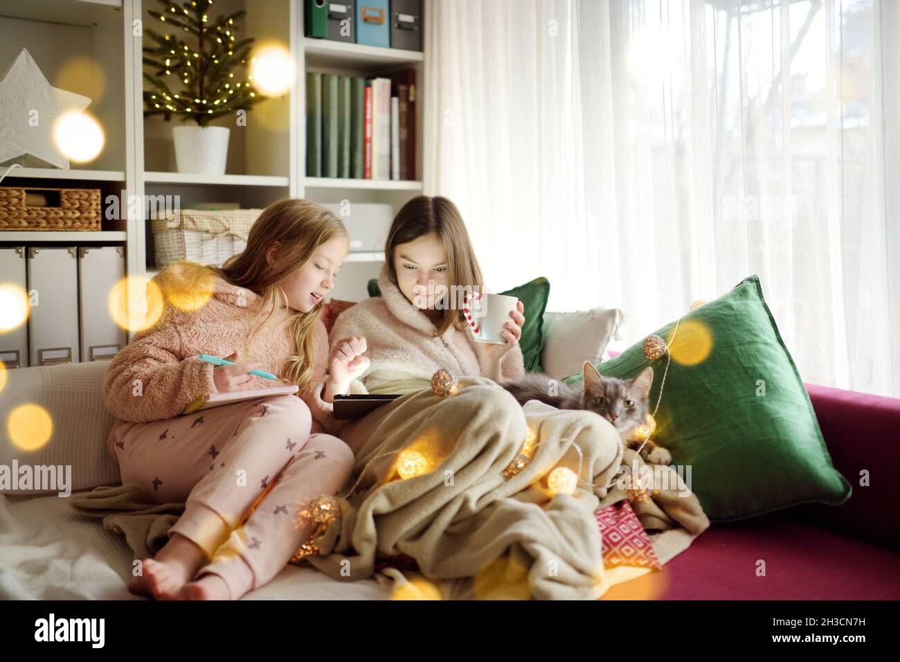 Dos hermanas jóvenes acurrucarse en el sofá en una acogedora sala de estar en Navidad. Niños lindos usando una tableta en casa durante las vacaciones de invierno. Niños leyendo Foto de stock
