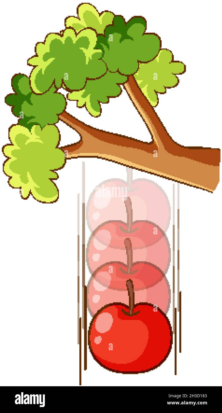 Una manzana que cae de un árbol sobre una ilustración de fondo blanco Ilustración del Vector