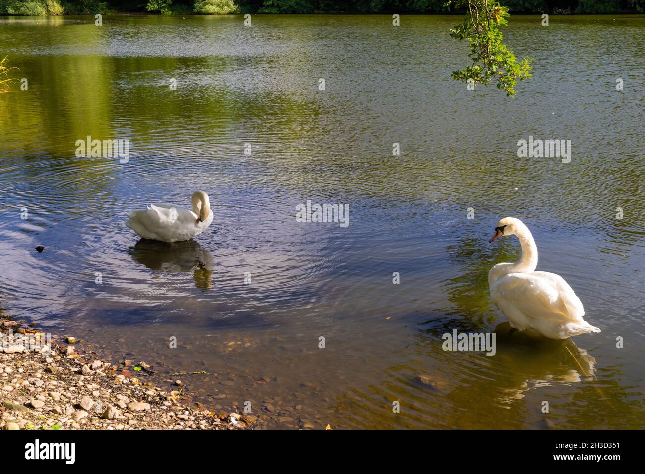 La corte de Maisemore y la iglesia de St Giles vistas a través del lago en el pueblo de Severn Vale de Maisemore, Gloucestershire, Reino Unido Foto de stock