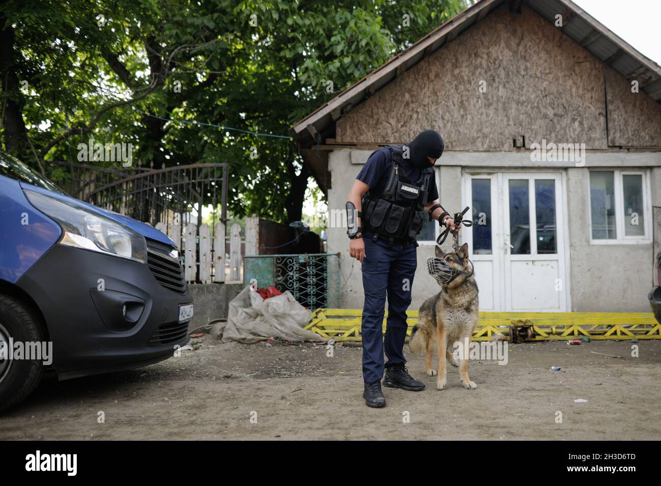 Sarulesti, Rumania - 27 de mayo de 2021: Policía rumana de K9 oficiales con su perro. Foto de stock